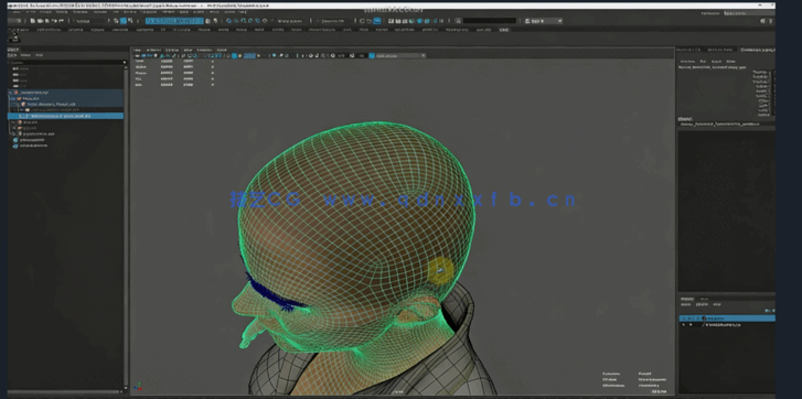 Maya全身角色骨骼绑定基础核心技术视频教程(图2)