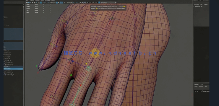 Maya全身角色骨骼绑定基础核心技术视频教程(图4)