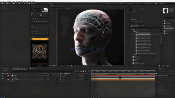 Cinema 4D肖像抽象动画制作训练视频教程(图3) Cinema 4D肖像抽象动画制作训练视频教程(图3)