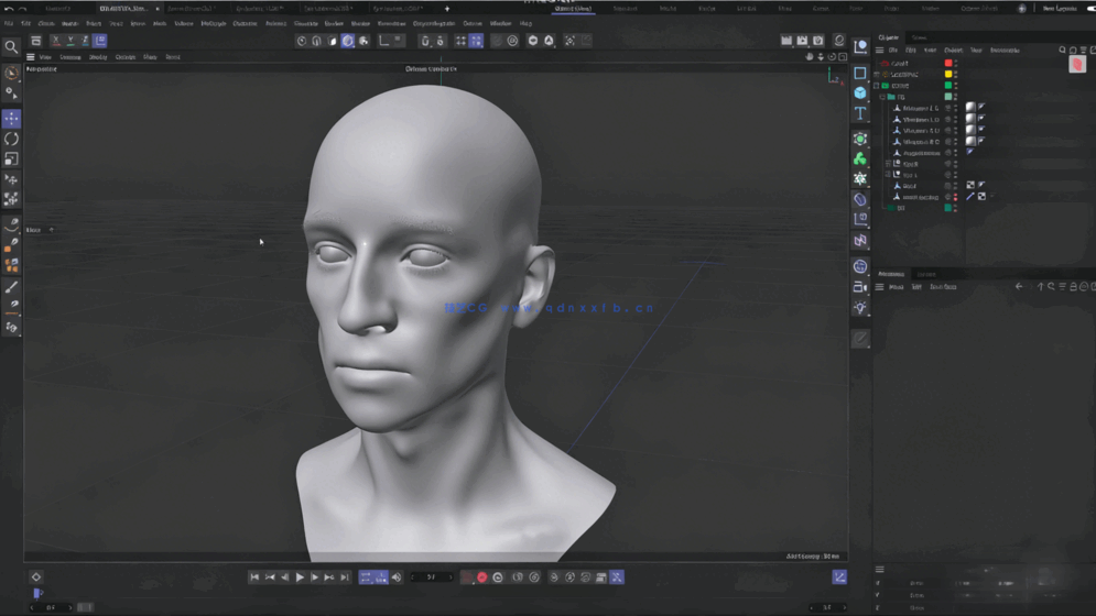 Cinema 4D肖像抽象动画制作训练视频教程(图1) Cinema 4D肖像抽象动画制作训练视频教程(图1)