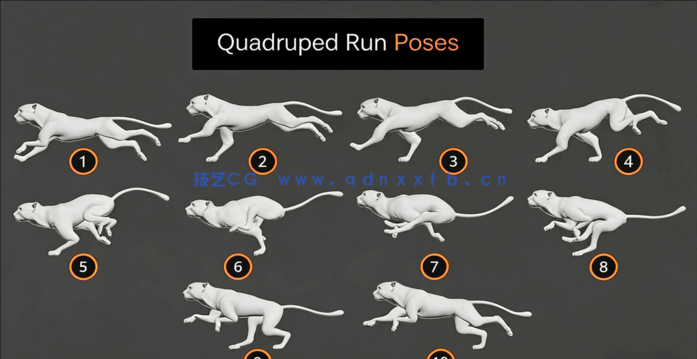 3dsMax四足动物动画高效技术制作视频教程(图1) 3dsMax四足动物动画高效技术制作视频教程(图1)