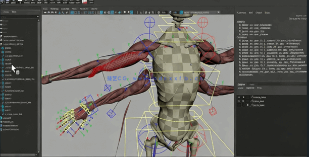 Maya中Ziva VFX人体骨骼组织模拟动画视频教程第二季 (图1) Maya中Ziva VFX人体骨骼组织模拟动画视频教程第二季 (图1)
