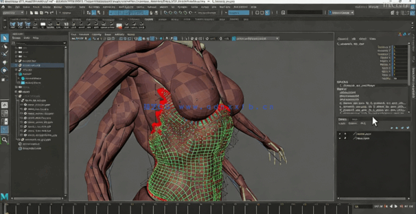 Maya中Ziva VFX人体骨骼组织模拟动画视频教程第二季 (图3) Maya中Ziva VFX人体骨骼组织模拟动画视频教程第二季 (图3)