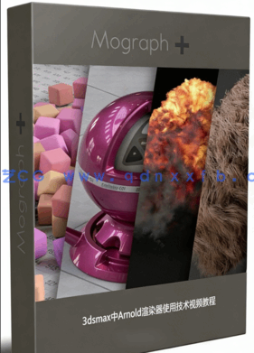3dsmax中Arnold渲染器综合使用技术视频教程 (图1)