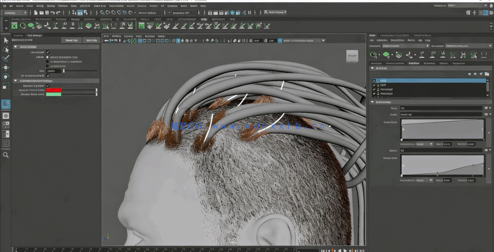 Maya中Xgen逼真人物角色面部与发型制作视频教程(图6) Maya中Xgen逼真人物角色面部与发型制作视频教程(图6)