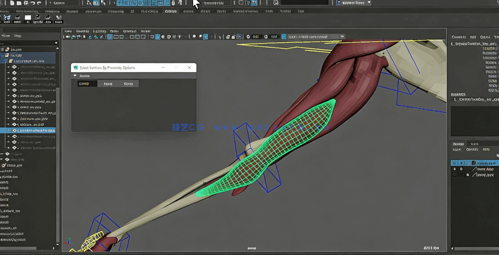 Maya中Ziva VFX人体骨骼组织模拟动画视频教程第一季(图1) Maya中Ziva VFX人体骨骼组织模拟动画视频教程第一季(图1)
