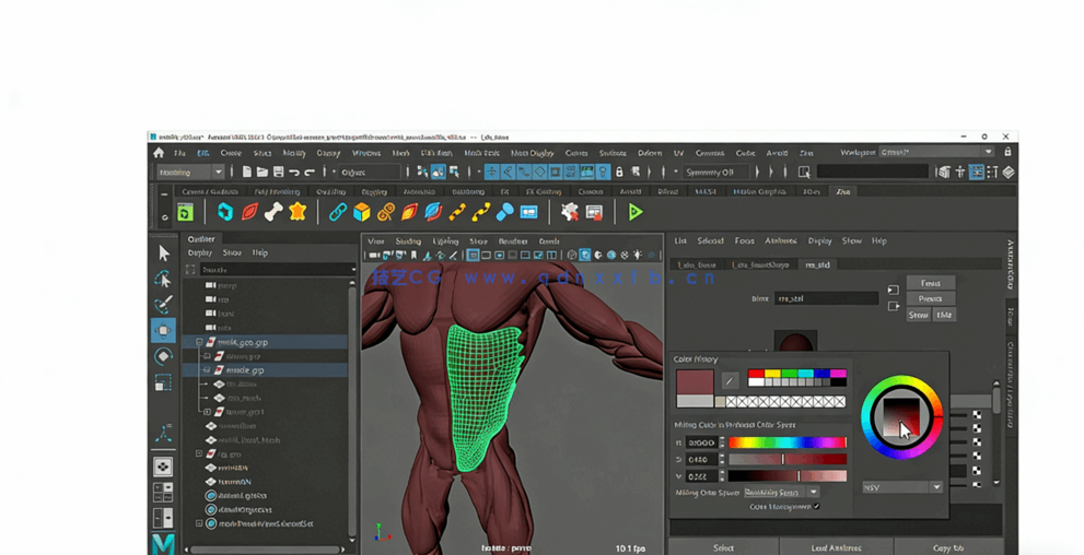 Maya中Ziva VFX人体骨骼组织模拟动画视频教程第一季(图3) Maya中Ziva VFX人体骨骼组织模拟动画视频教程第一季(图3)