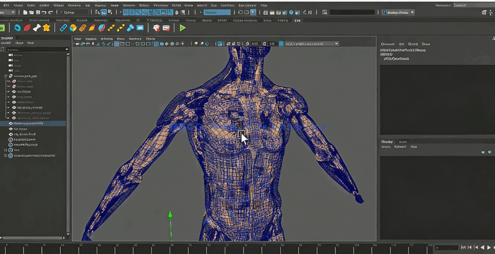 Maya中Ziva VFX人体骨骼组织模拟动画视频教程第一季(图5) Maya中Ziva VFX人体骨骼组织模拟动画视频教程第一季(图5)