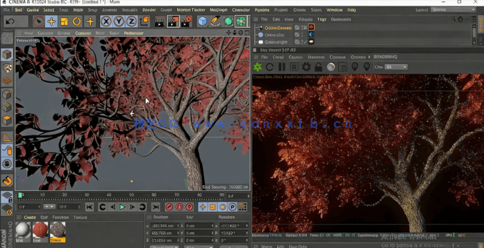 C4D与Octane逼真自然树场景实例制作视频教程(图5) C4D与Octane逼真自然树场景实例制作视频教程(图5)