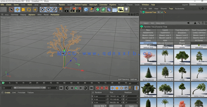 C4D与Octane逼真自然树场景实例制作视频教程(图2) C4D与Octane逼真自然树场景实例制作视频教程(图2)