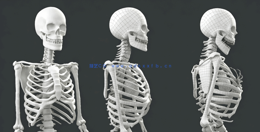 Maya人物角色建模概念设计技术视频课程(图1)