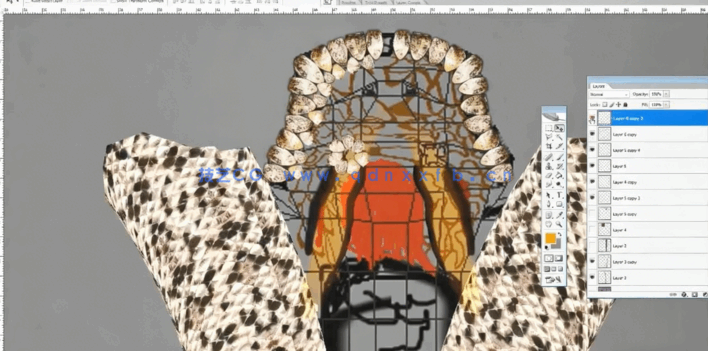 影片哈利·波特中的蟒蛇C4D制作视频教程(图3) 影片哈利·波特中的蟒蛇C4D制作视频教程(图3)