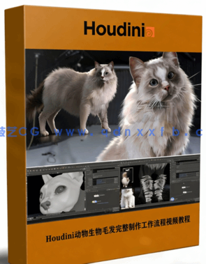 Houdini动物生物毛发完整制作工作流程视频教程 (图1) Houdini动物生物毛发完整制作工作流程视频教程 (图1)