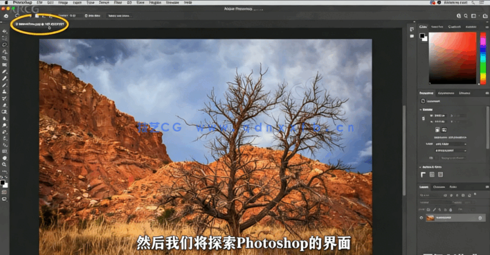 【中文字幕】Photoshop 2022全面核心技术训练视频教程(图3) 【中文字幕】Photoshop 2022全面核心技术训练视频教程(图3)