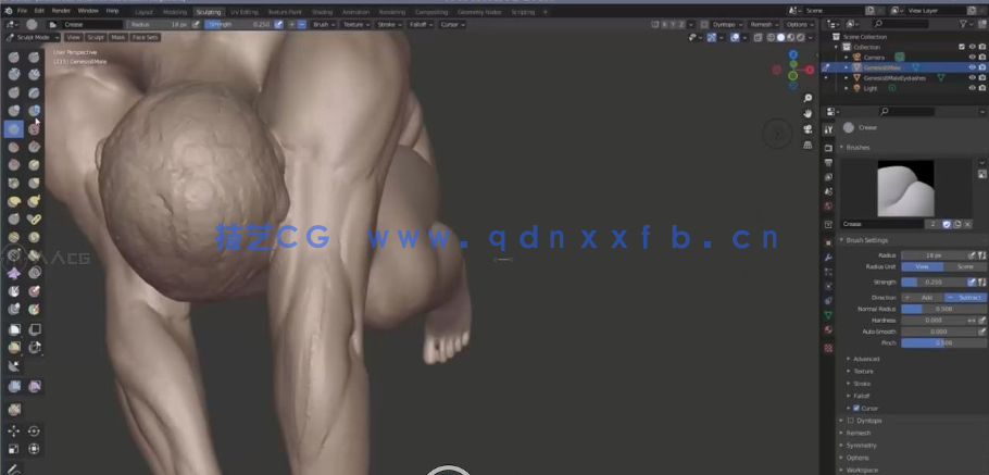 Blender 3D人体结构解剖雕刻大师级训练视频教程(图4) Blender 3D人体结构解剖雕刻大师级训练视频教程(图4)