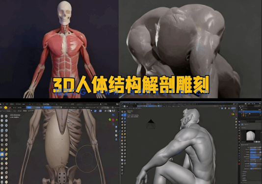Blender 3D人体结构解剖雕刻大师级训练视频教程(图5) Blender 3D人体结构解剖雕刻大师级训练视频教程(图5)