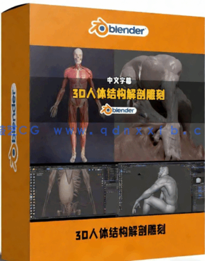 Blender 3D人体结构解剖雕刻大师级训练视频教程(图1) Blender 3D人体结构解剖雕刻大师级训练视频教程(图1)
