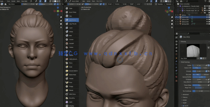 Blender人物头部数字雕刻技术大师班视频教程(图2) Blender人物头部数字雕刻技术大师班视频教程(图2)
