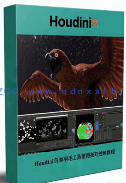 Houdini鸟类羽毛工具使用技巧视频教程(附工具)(图1) Houdini鸟类羽毛工具使用技巧视频教程(附工具)(图1)