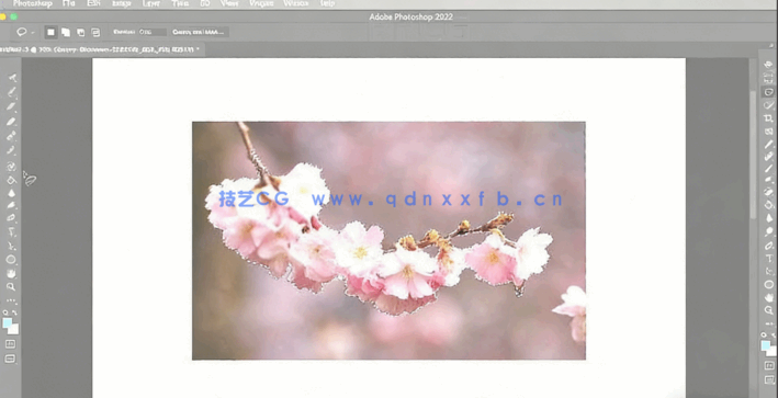 PS创建图像合成遮罩技巧工作流程视频教程(图1) PS创建图像合成遮罩技巧工作流程视频教程(图1)