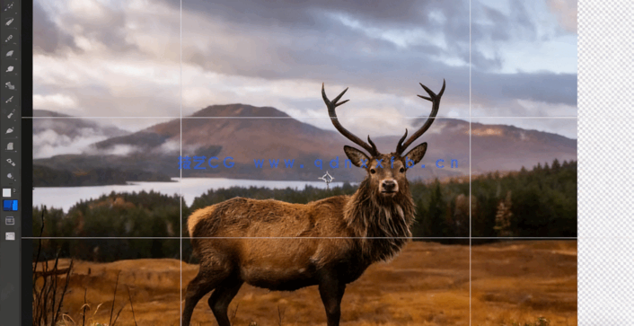 【中英双语】Photoshop 2024 AI人工智能功能入门训练视频教程(图3) 【中英双语】Photoshop 2024 AI人工智能功能入门训练视频教程(图3)
