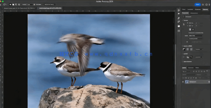 【中英双语】Photoshop 2024 AI人工智能功能入门训练视频教程(图5) 【中英双语】Photoshop 2024 AI人工智能功能入门训练视频教程(图5)