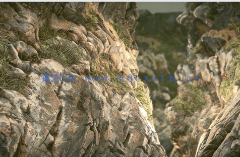 Substance Designer纹理制作核心要点视频教程(图4) Substance Designer纹理制作核心要点视频教程(图4)