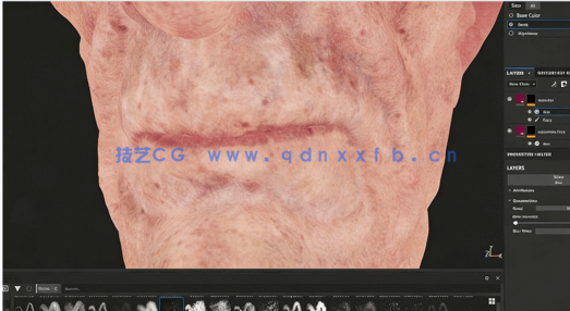 Substance Painter逼真人类皮肤纹理实例制作视频教程(图3) Substance Painter逼真人类皮肤纹理实例制作视频教程(图3)