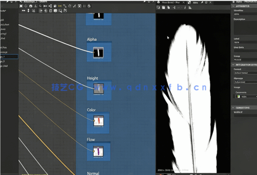Substance Designer逼真羽毛PBR纹理实例制作视频教程(图3) Substance Designer逼真羽毛PBR纹理实例制作视频教程(图3)