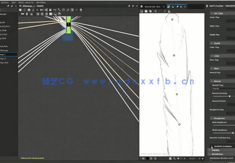 Substance Designer逼真羽毛PBR纹理实例制作视频教程(图5) Substance Designer逼真羽毛PBR纹理实例制作视频教程(图5)