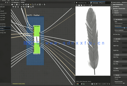 Substance Designer逼真羽毛PBR纹理实例制作视频教程(图6) Substance Designer逼真羽毛PBR纹理实例制作视频教程(图6)