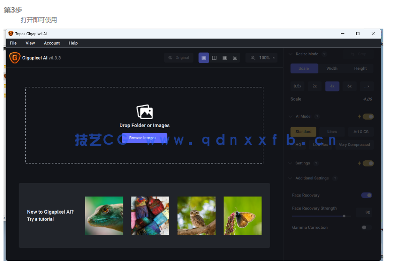 Topaz Gigapixel AI 图片无损放大工具绿色便携版(图3) Topaz Gigapixel AI 图片无损放大工具绿色便携版(图3)