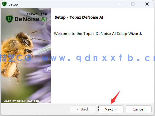 Topaz DeNoise AI - 专业图像降噪软件下载(图4) Topaz DeNoise AI - 专业图像降噪软件下载(图4)
