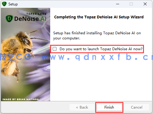 Topaz DeNoise AI - 专业图像降噪软件下载(图9) Topaz DeNoise AI - 专业图像降噪软件下载(图9)
