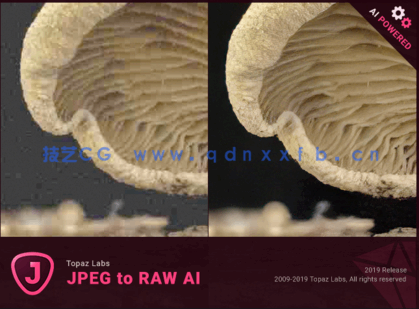1715768968318738.png Topaz JPEG to RAW AI JPEG格式转换为RAW格式软件(图1)