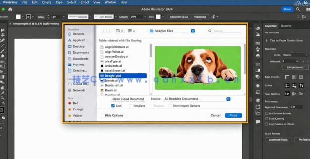 【中文字幕】Illustrator CC 2024核心技术训练视频教程(图2) 【中文字幕】Illustrator CC 2024核心技术训练视频教程(图2)