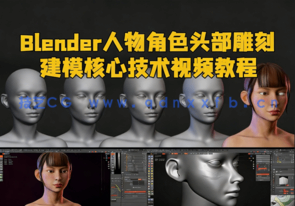Blender人物角色头部雕刻建模核心技术视频教程(图1) Blender人物角色头部雕刻建模核心技术视频教程(图1)