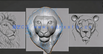 Blender数字肖像角色雕刻艺术技能训练视频教程(图4) Blender数字肖像角色雕刻艺术技能训练视频教程(图4)