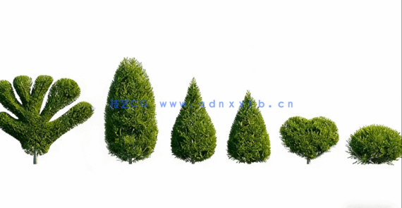 观赏植物和树篱3D模型Globe Plants - Bundle 57 - Ornamental Plants & Hedge 02(图5)