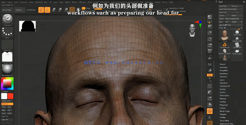 Maya角色面部表情造型复杂运动动画频教程(图3) Maya角色面部表情造型复杂运动动画频教程(图3)