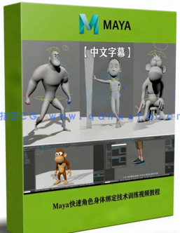 Maya快速角色身体绑定技术训练视频教程(图1) Maya快速角色身体绑定技术训练视频教程(图1)