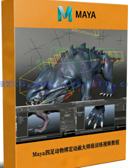 Maya四足动物绑定动画大师级训练视频教程(图1) Maya四足动物绑定动画大师级训练视频教程(图1)