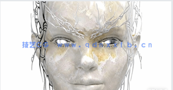 3D数码时尚艺术设计大师班视频教程(图4) 3D数码时尚艺术设计大师班视频教程(图4)