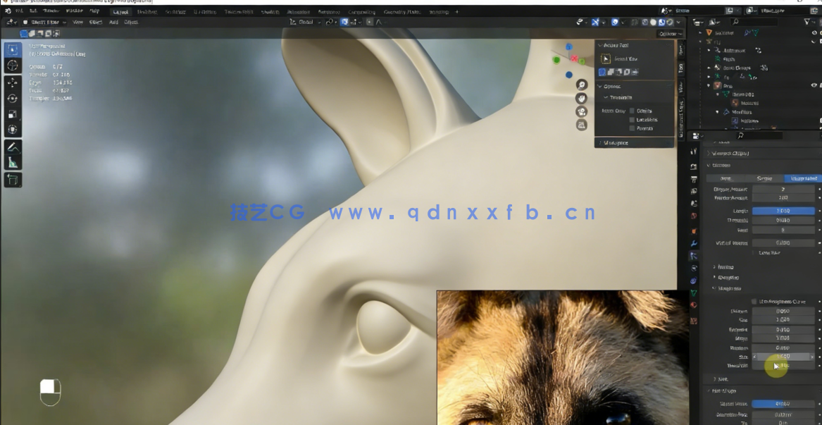 Blender非洲野狗逼真动物完整制作流程视频课程 (图2) Blender非洲野狗逼真动物完整制作流程视频课程 (图2)