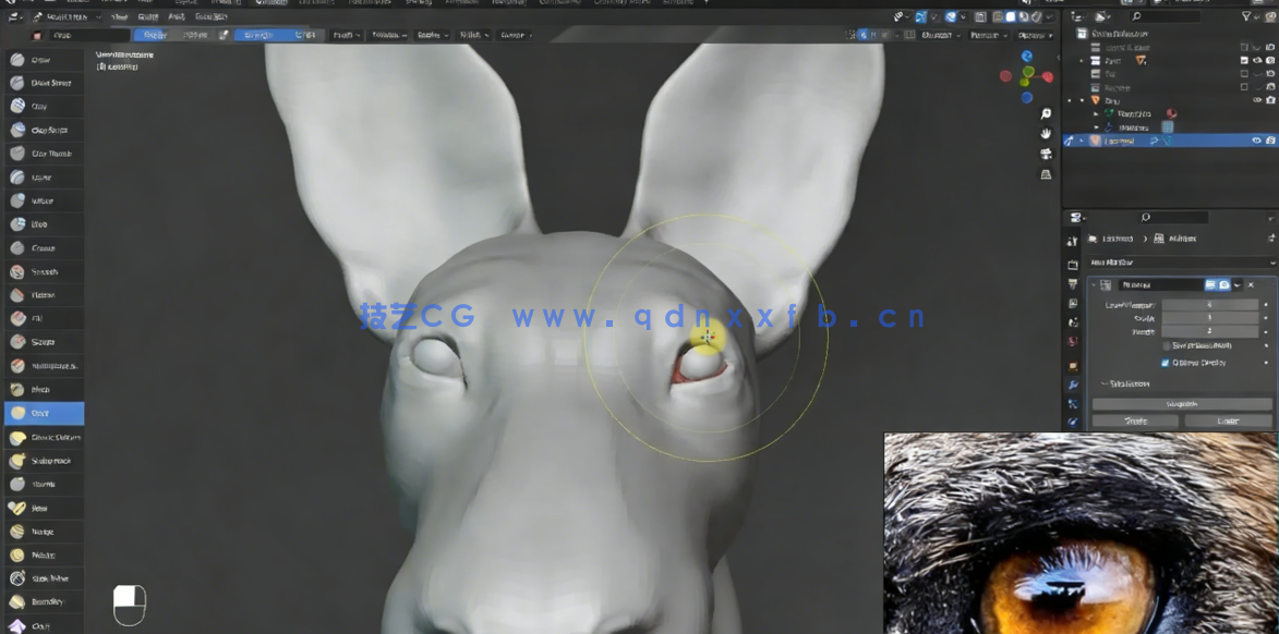 Blender非洲野狗逼真动物完整制作流程视频课程 (图3) Blender非洲野狗逼真动物完整制作流程视频课程 (图3)