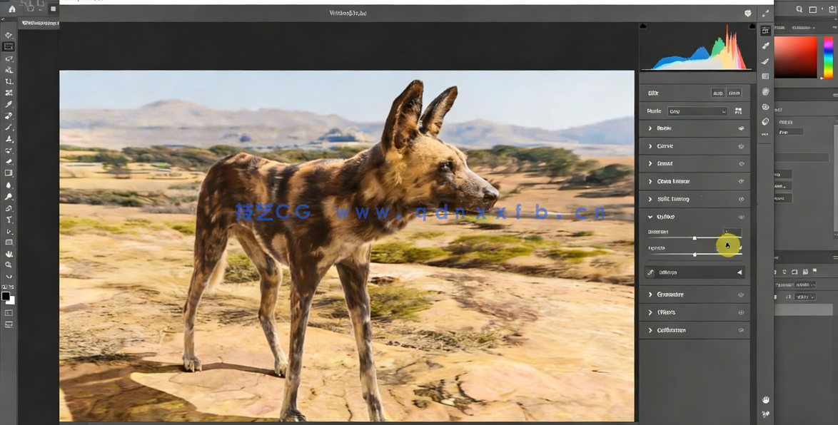 Blender非洲野狗逼真动物完整制作流程视频课程 (图5) Blender非洲野狗逼真动物完整制作流程视频课程 (图5)