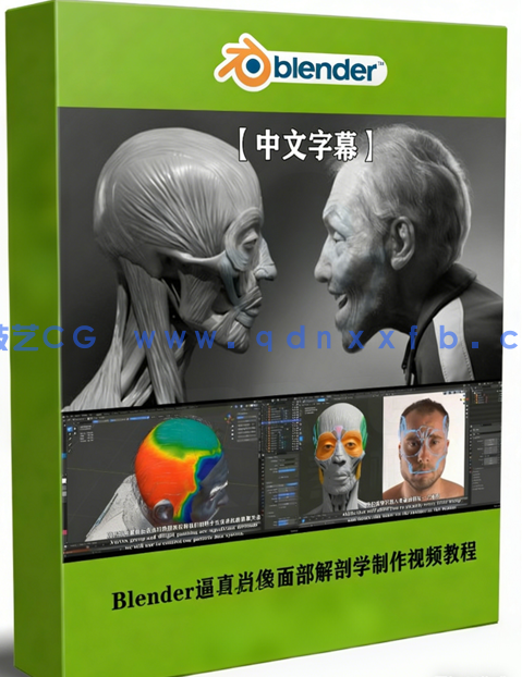 Blender逼真肖像面部骨骼肌肉解剖学制作视频教程 (图1) Blender逼真肖像面部骨骼肌肉解剖学制作视频教程 (图1)