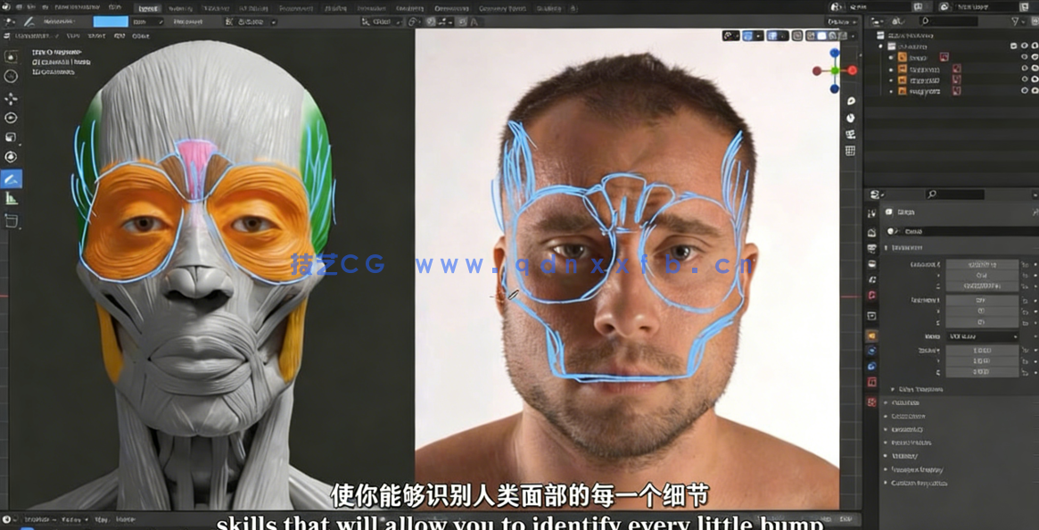 Blender逼真肖像面部骨骼肌肉解剖学制作视频教程 (图3) Blender逼真肖像面部骨骼肌肉解剖学制作视频教程 (图3)