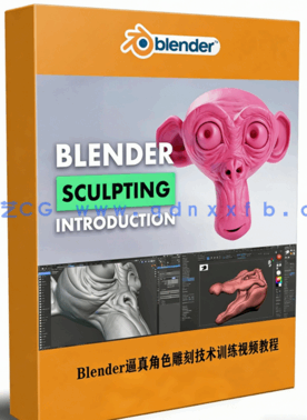 Blender逼真角色雕刻技术训练视频教程 (图1) Blender逼真角色雕刻技术训练视频教程 (图1)