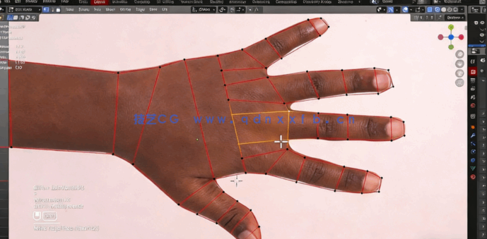 Blender 4编辑模式设置与人体建模训练视频教程(图5) Blender 4编辑模式设置与人体建模训练视频教程(图5)